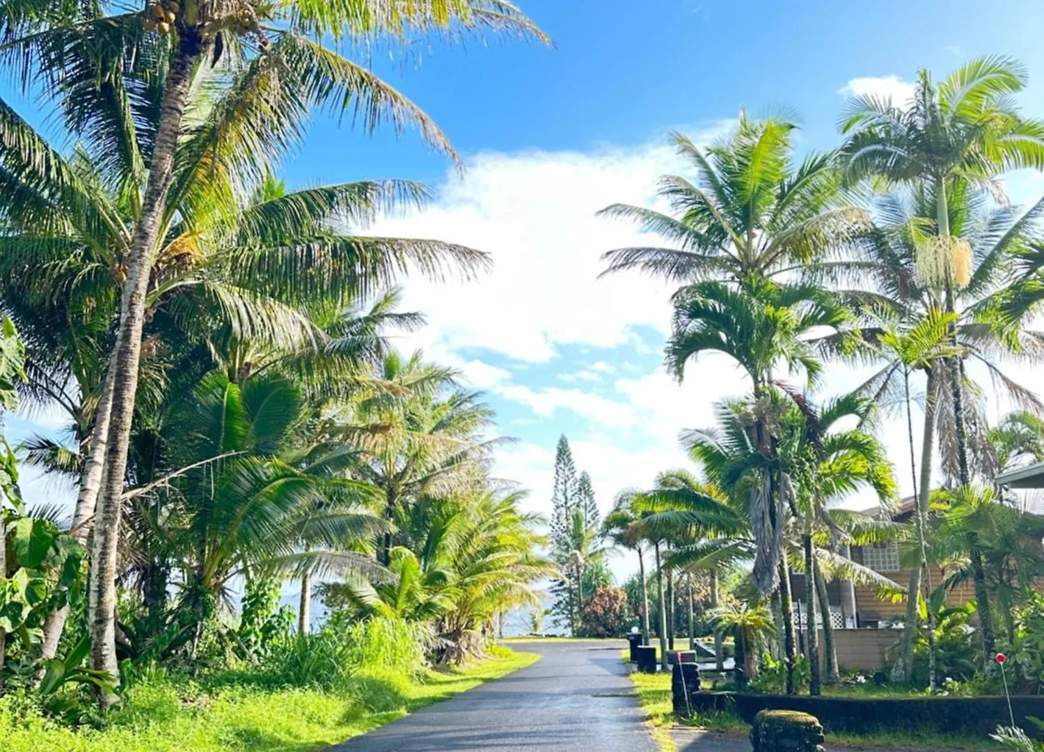PahoaHouse Of Aloha别墅 度假居